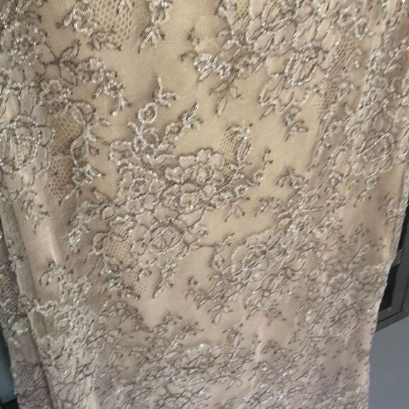 Badgley Mischka beige beaded, black tie, mother of the bride evening gown off th - Picture 4 of 12